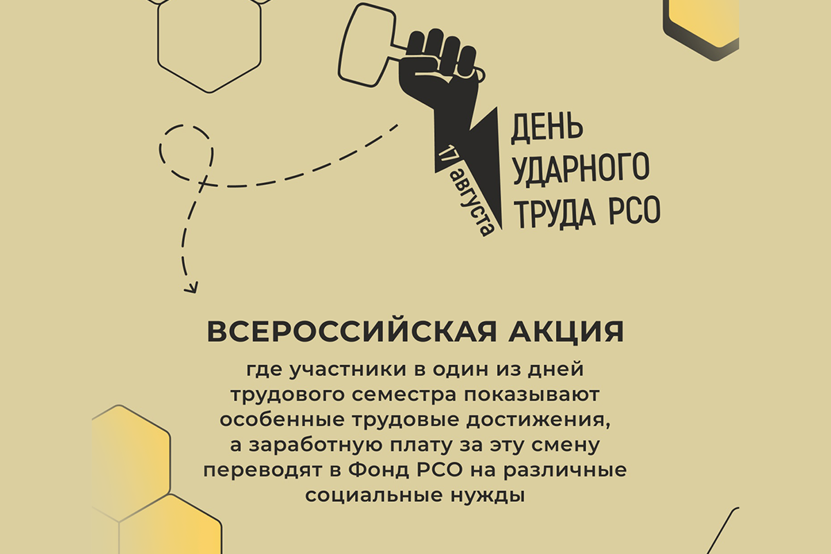 Ударно трудимся в рамках Всероссийской акции «День ударного труда» — ШТАБ  МОЛОДЕЖНЫХ ТРУДОВЫХ ОТРЯДОВ АРХАНГЕЛЬСКОЙ ОБЛАСТИ